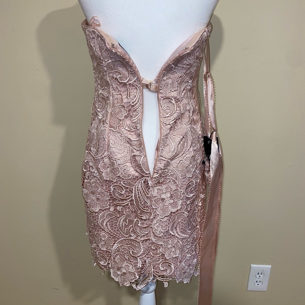 Adrianna Papell Strapless Lace Mini Dress in Blush - Picture 4 of 8